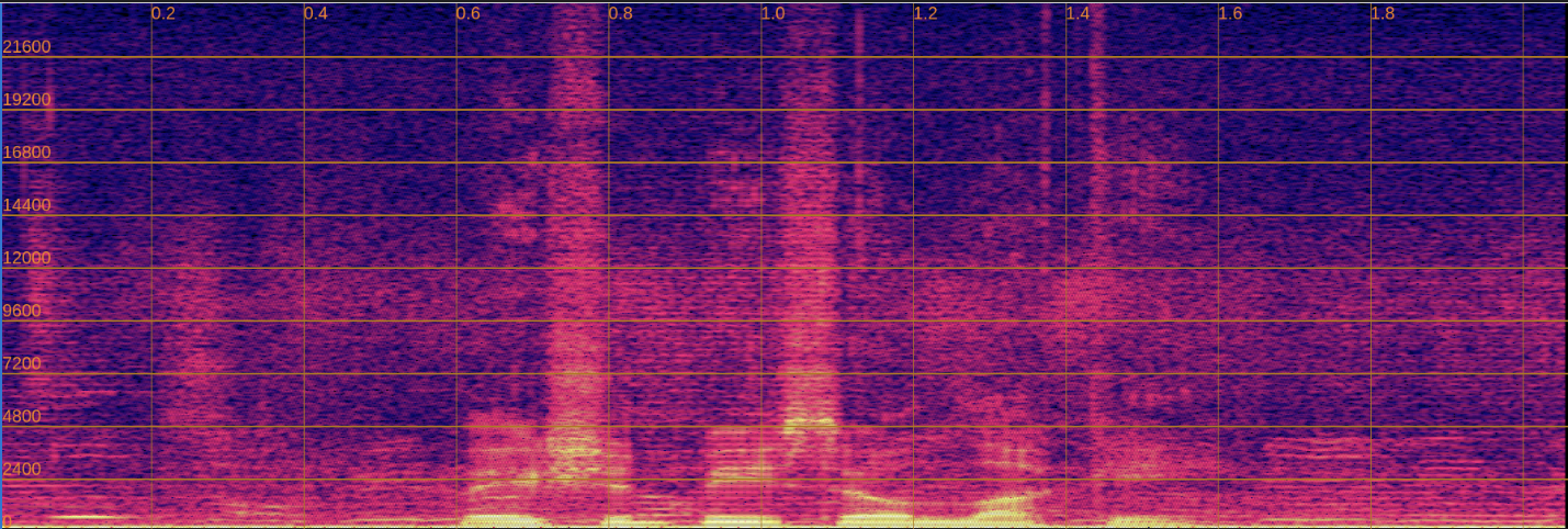 Input Spectrogram