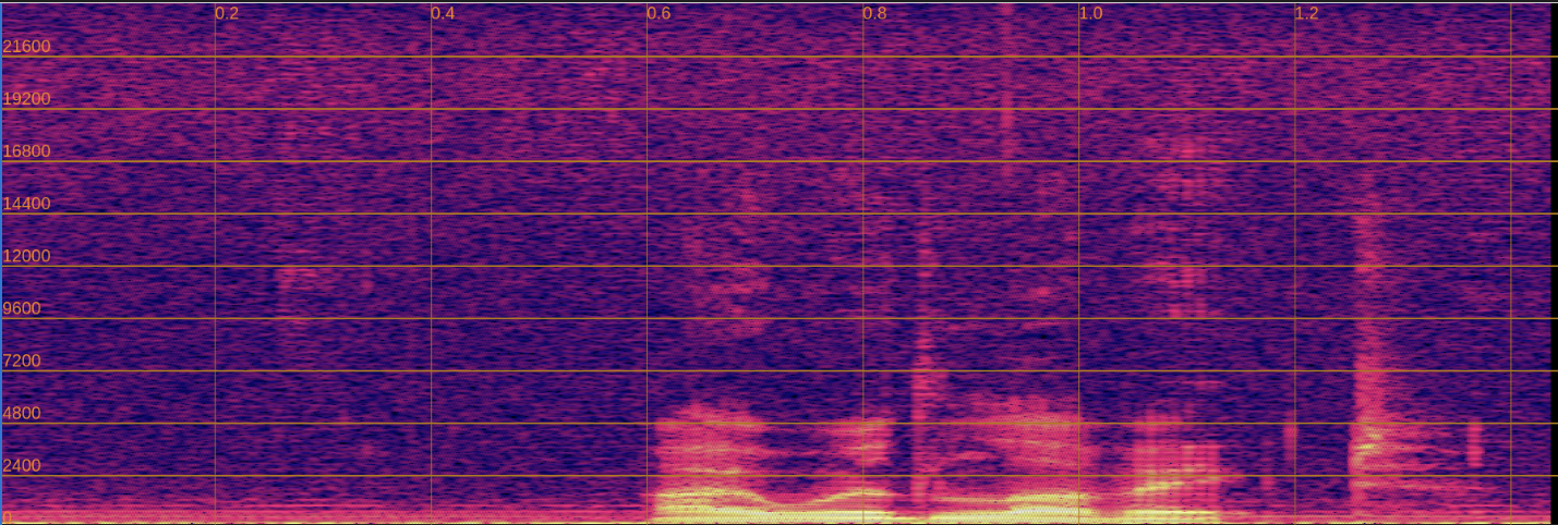 Input Spectrogram