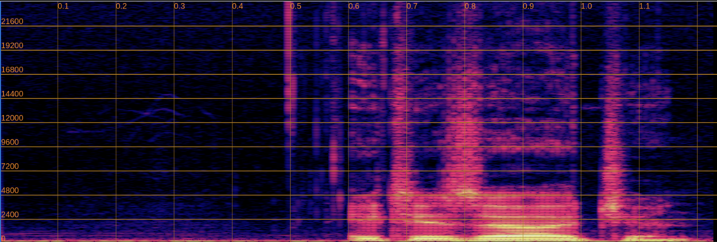 Input Spectrogram
