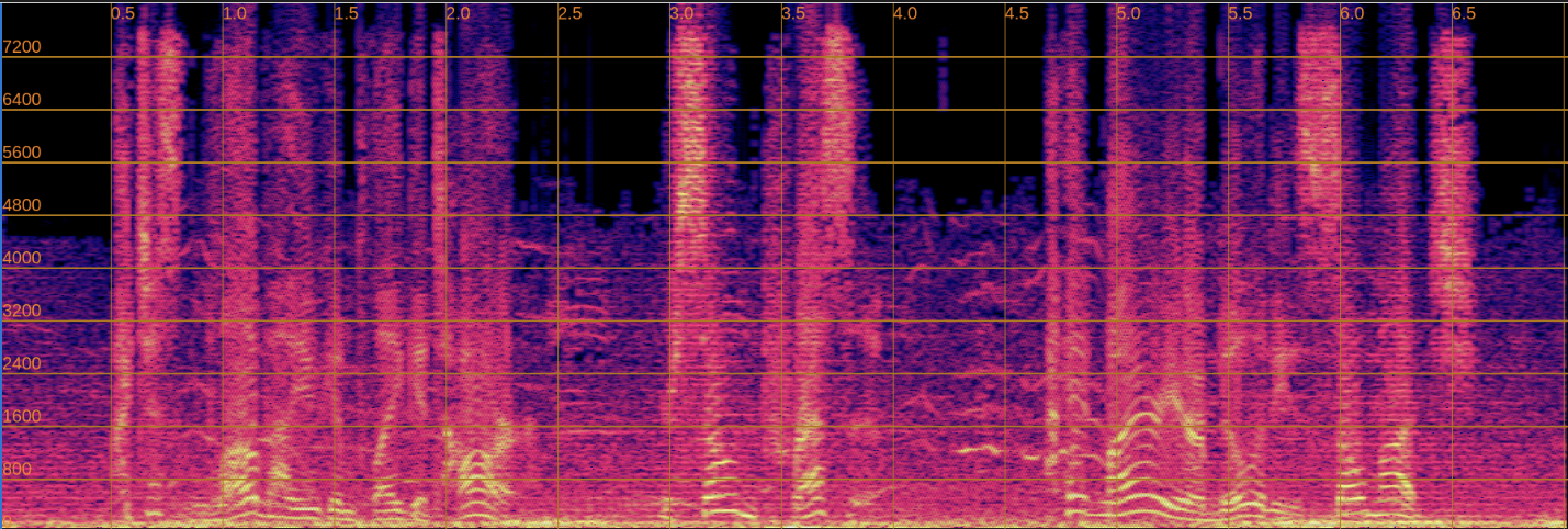 Input Spectrogram